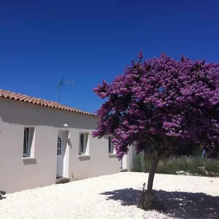 L'estran Marennes (Charente-Maritime)